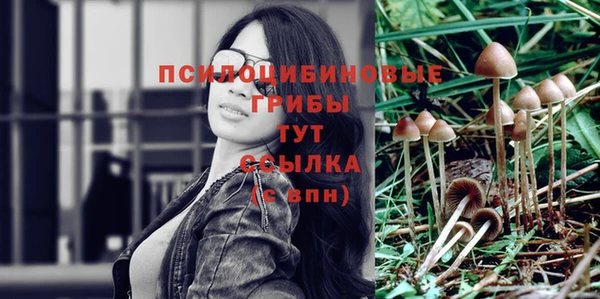 крисы Михайлов