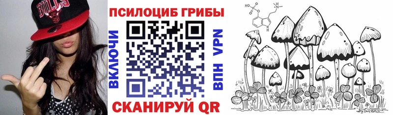 Псилоцибиновые грибы Cubensis  Купить  Тулун 